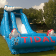 Tidal Wave Dry